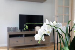 TV a/nebo společenská místnost v ubytování Apartament Turkus