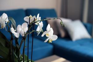 Posezení v ubytování Apartament Turkus