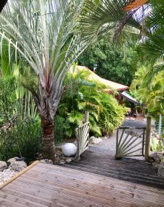 Ein Garten an der Unterkunft Ti coin paradis