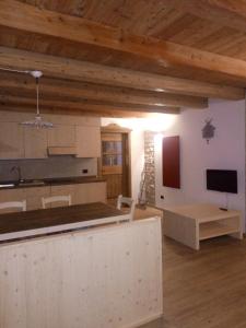 a large room with a kitchen and a tv at Regensburgerhof in Castello Tesino