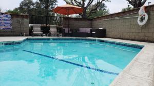 a large swimming pool with an umbrella and chairs and an umbrella at Oak Tree Inn in Monrovia