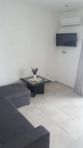 Μια τηλεόραση ή/και κέντρο ψυχαγωγίας στο Apartments Paradiso Murter