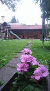 a group of pink flowers in a yard at Penzión Aqua in Liptovský Mikuláš