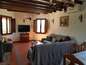 Una sala de estar con un sofá y un televisor. en Casa Rural El Puerto, en El Chorro