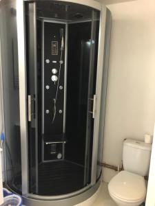 eine Dusche im Bad mit WC in der Unterkunft Residence Le Continental in Vittel + 24 Fotos