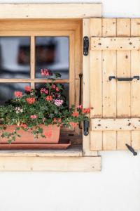 a window with a pot of flowers in it at Appartements Caprice des Neiges in Combloux