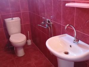 Vannituba majutusasutuses Guest house of Givi