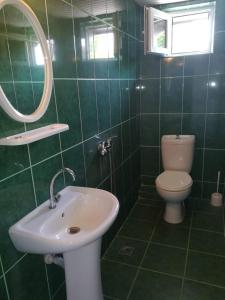 Vannituba majutusasutuses Guest house of Givi