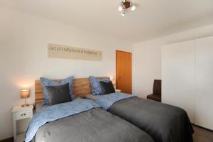 マルククレーベルクにあるFewo Neuseenlandのベッドルーム(青い枕の大型ベッド1台付)