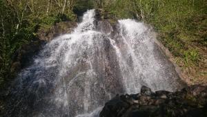 Náttúran í nágrenni gistihússins