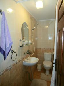 a bathroom with a sink and a toilet and a mirror at The Gates Apartments in Koprivshtitsa +29 photos