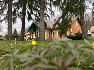 una casa rosa con árboles delante de ella en St. Hubertus Étterem és Panzió, en Parádsasvár