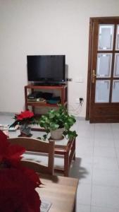 uma sala de estar com televisão e uma mesa com flores em Hostal Les Collades em Sort