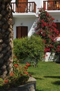 a house with red flowers on the side of it at Eri Hotel in Parikia