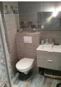a bathroom with a toilet and a sink at Coeur d'Alsace 1 in Kaysersberg