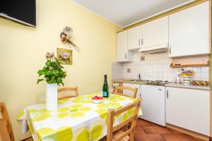 Kuchyňa alebo kuchynka v ubytovaní Rona Apartments Ani