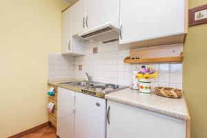 Kuchyňa alebo kuchynka v ubytovaní Rona Apartments Ani