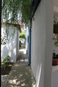 a narrow alley with a blue door in a white building at Hotel Vila Alex in Costinesti