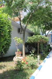 a garden with a tree and flowers in a yard at Hotel Vila Alex in Costinesti