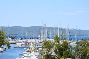 a bunch of boats are docked in a marina at Luka Apartments in Biograd na Moru