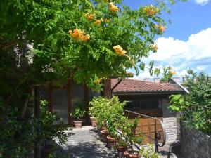 Vonkajšia záhrada v ubytovaní Apartment in Chianti near Medieval Castle