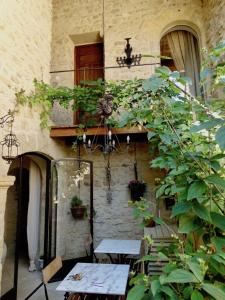 Zahrada ubytování Un Patio en Luberon
