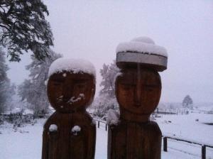 Gallery image of Hotel Boutique Nalcas in Malalcahuello