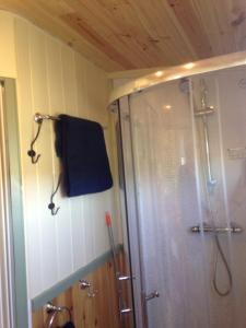 Ванная комната в Lizzie off grid Shepherds Hut The Buteland Stop