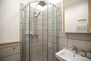a bathroom with a shower and a sink at Namelis Preiloje in Neringa +13 photos