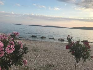 Hrvatska, BRODARICA, Apartments Lucija-Klara