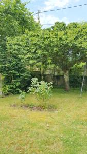 Photo de la galerie de l'établissement La Croix des Granges, à Montlouis-sur-Loire