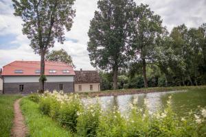 Príroda v okolí apartmánu