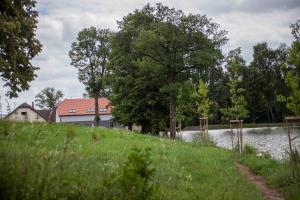 Príroda v okolí apartmánu