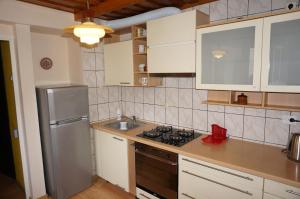 a kitchen with a stove and a sink and a refrigerator at Karolina in Nida