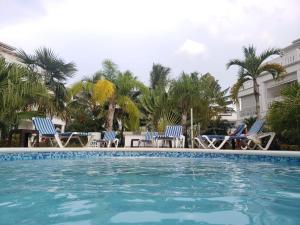 a large swimming pool with chairs and palm trees at Las Terrenas, La Fenice, Playa Popy in Las Terrenas