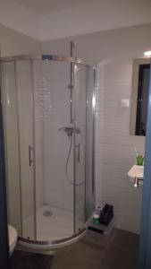 una doccia in vetro in un bagno con WC di Bajta na obzidju a Maribor