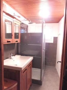 a bathroom with a sink and a shower at la grange in Formiguères