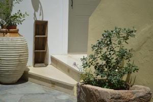Saronic View外面的花园