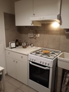 Η κουζίνα ή μικρή κουζίνα στο Piazzadarmi 252 +5 φωτογραφίες