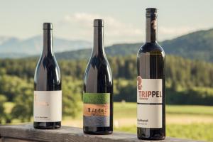 Nápoje v ubytování TrippelGUT - SchlafGUT