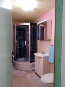 a bathroom with a shower and a toilet and a sink at Apartment Ruza in Sali