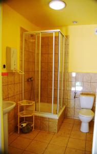 a bathroom with a shower and a toilet and a sink at Wilcza Chata in Kołczewo