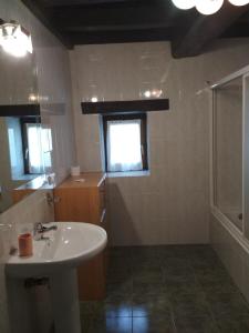 a bathroom with a sink and a shower at Casa Batit in Viscarret-Guerendiáin