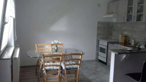 Kuchyňa alebo kuchynka v ubytovaní Studio apartman Trdina