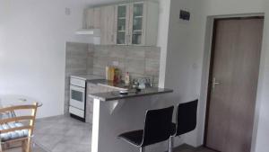 Kuchyňa alebo kuchynka v ubytovaní Studio apartman Trdina