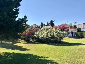 Zahrada ubytování Casa Piscina