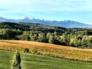 Paesaggio naturale nelle vicinanze del bed & breakfast