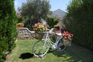 Vonkajšia záhrada v ubytovaní Holiday Home Villa Margherita