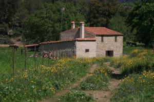 a small stone house in a field of flowers at Finca El Zurrador in Fuenteheridos