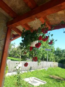 a wreath of red roses hanging from a pergola at Pensiunea Agroturistica Ioana in Brăduleţ